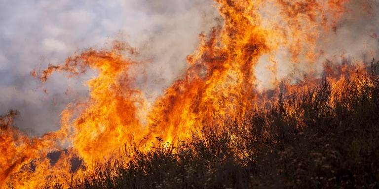 Devastating Wildfire Rages across Ventura County — Details