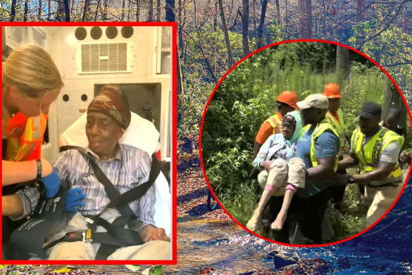 Missing 77-year-old woman with dementia found safe after overnight search in Stockbridge